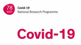 covid19